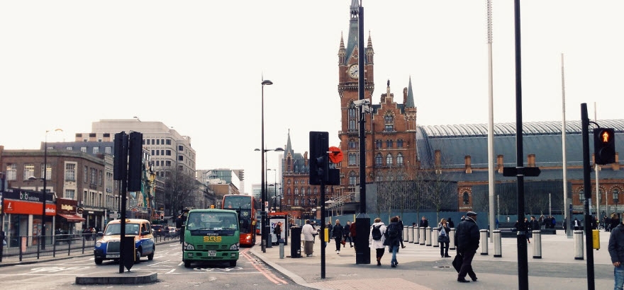 Saving Borneo's Sun Bears
